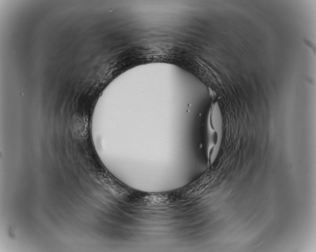 X0000096380660200802141432