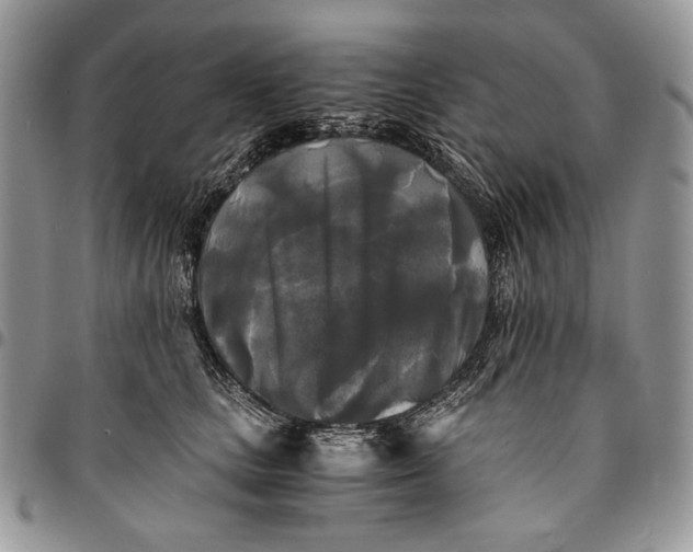 X0000096380661200802141432