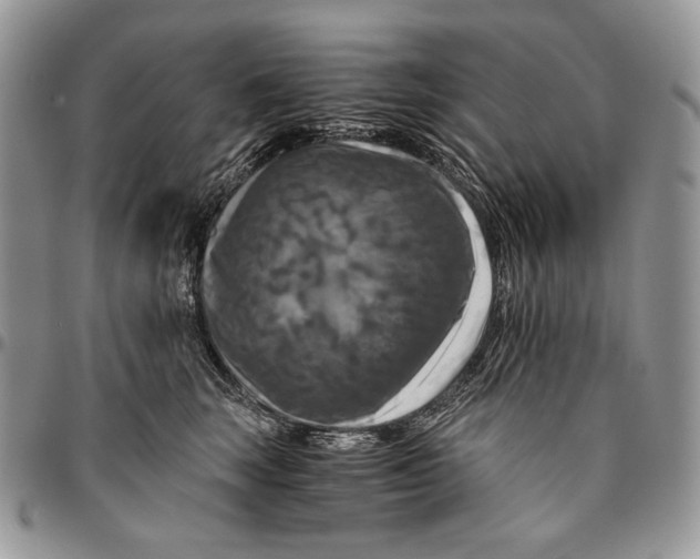 X0000096380663200802141432