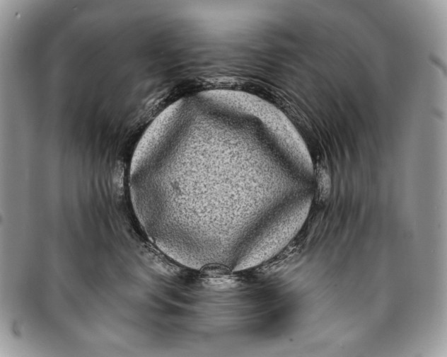 X0000096380668200802141432