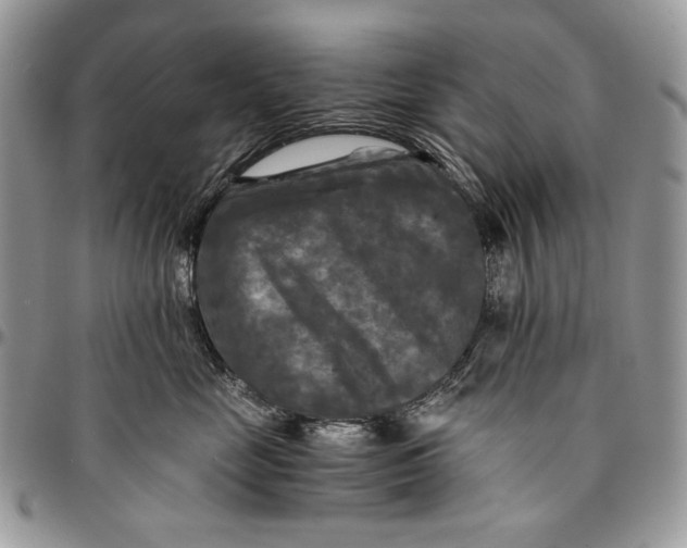 X0000096380669200802141432