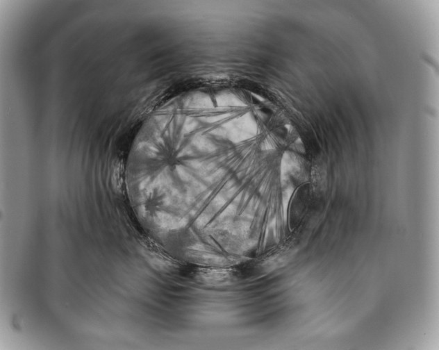 X0000096380671200802141432