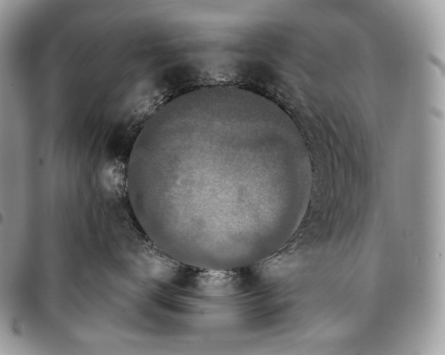 X0000096380672200802141432