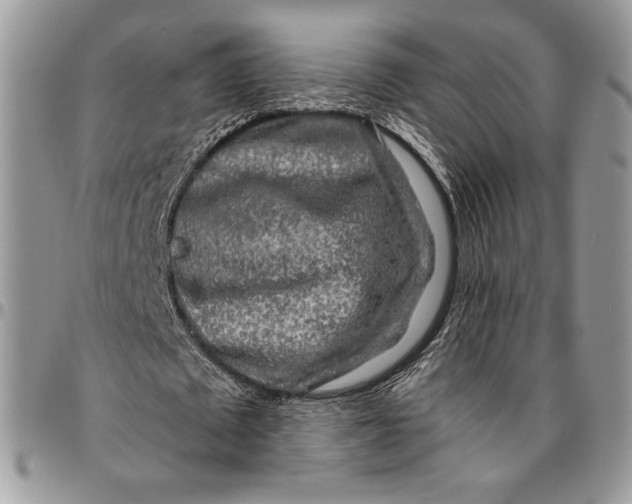 X0000096380673200802141432