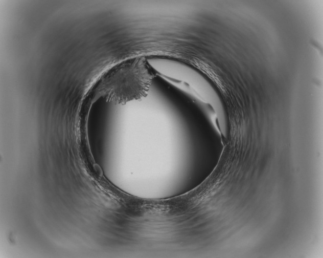 X0000096380676200802141432