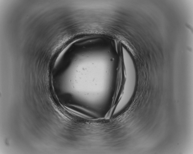 X0000096380677200802141432