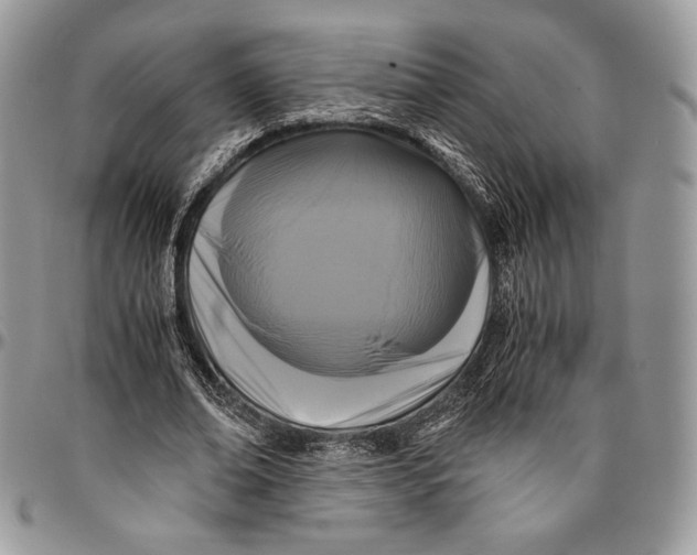 X0000096380678200802141431