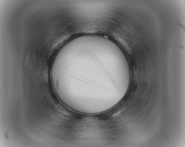 X0000096380681200802141431