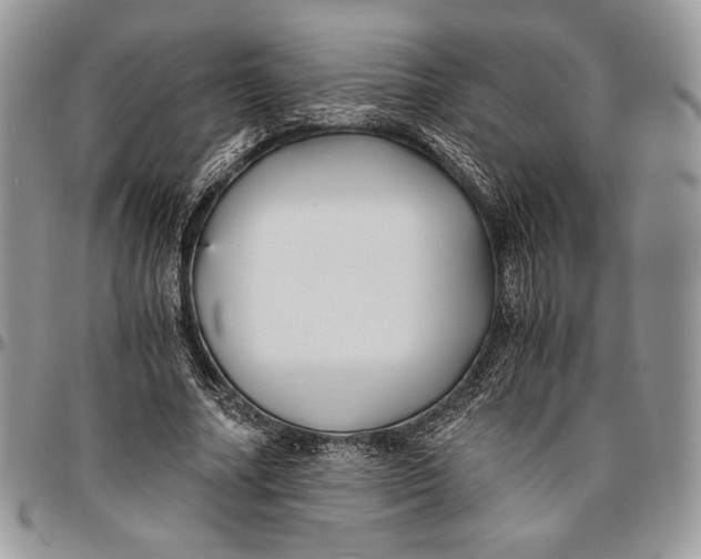 X0000096380682200802141431