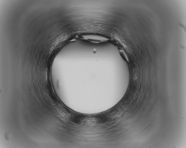 X0000096380685200802141431