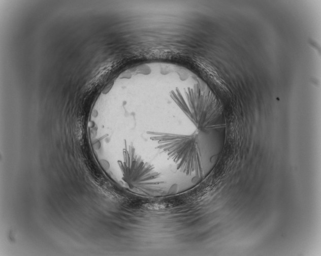 X0000096380687200802141431