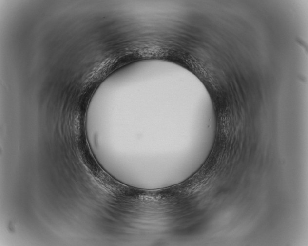 X0000096380690200802141431