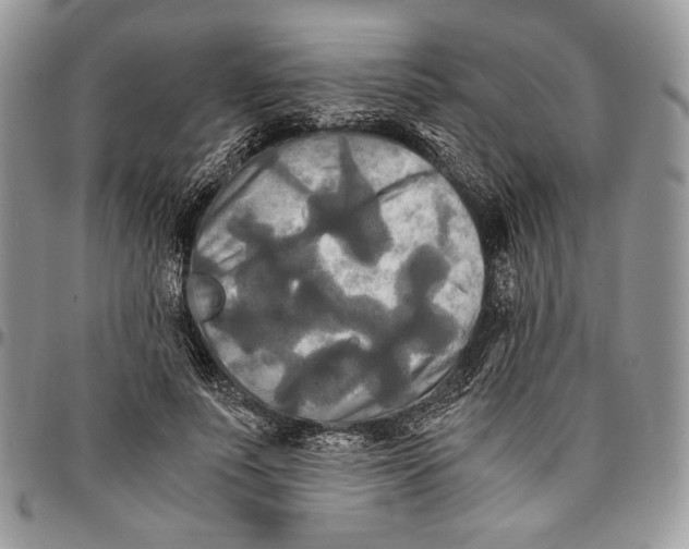 X0000096380691200802141431