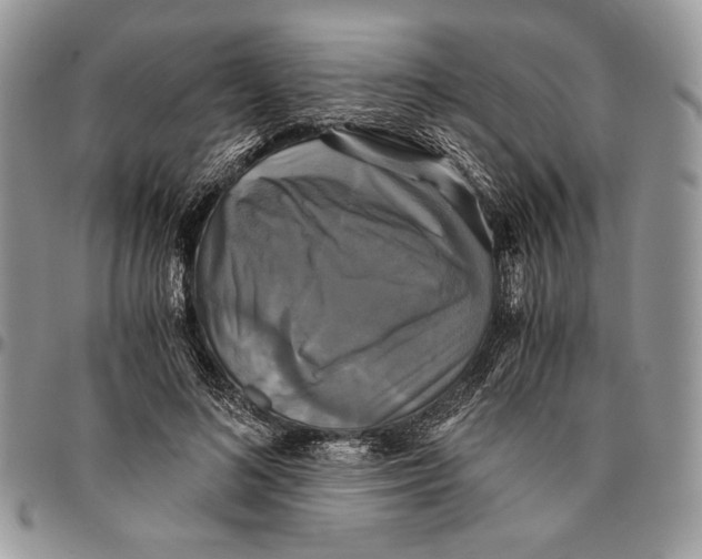 X0000096380692200802141431