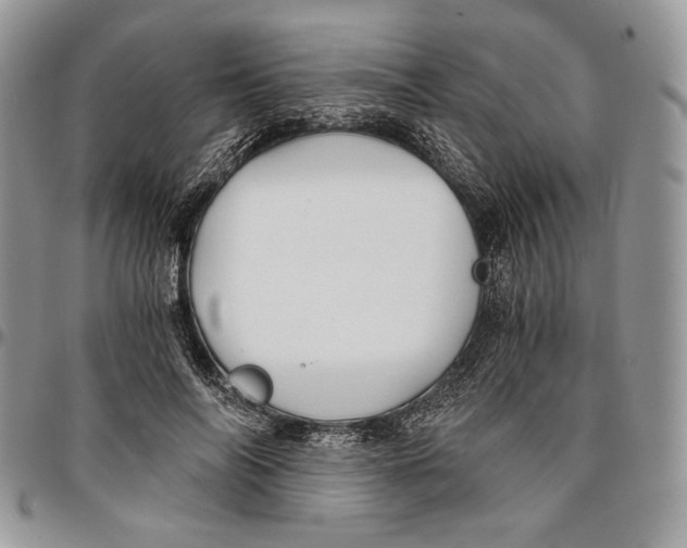 X0000096380694200802141431