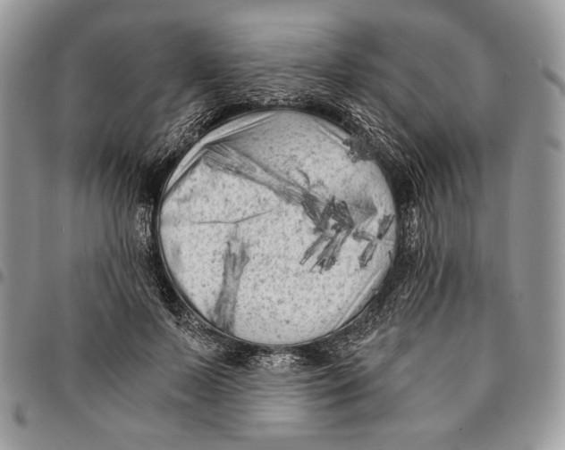 X0000096380695200802141431