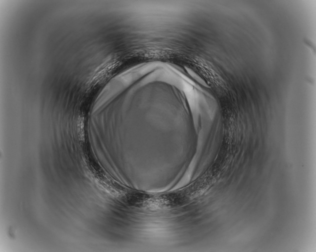 X0000096380696200802141431