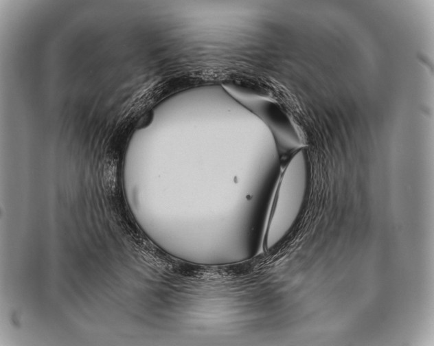 X0000096380697200802141431