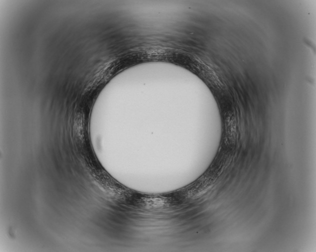 X0000096380698200802141431