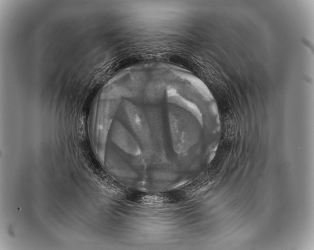 X0000096380699200802141431