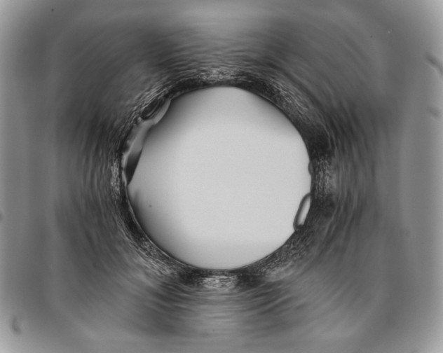 X0000096380700200802141431