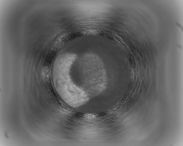 X0000096380701200802141431