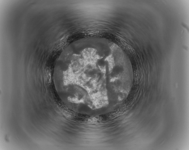 X0000096380703200802141431