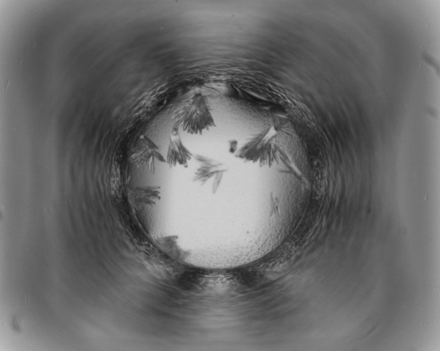 X0000096380704200802141431