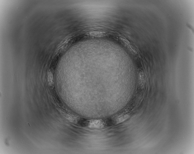 X0000096380705200802141431