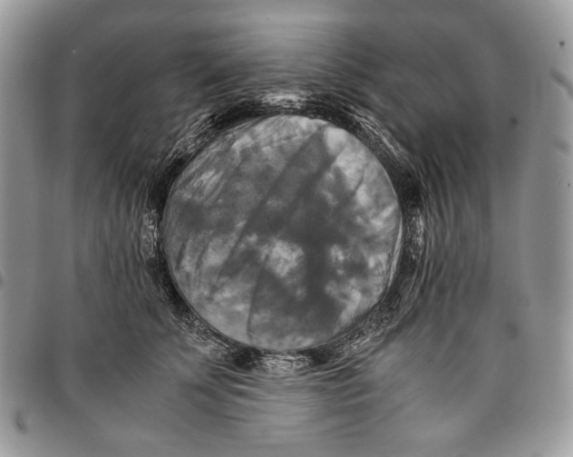 X0000096380707200802141431