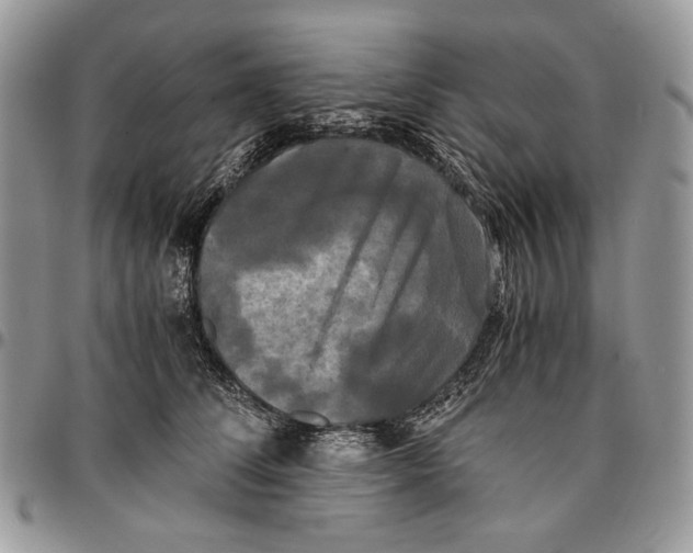 X0000096380708200802141431