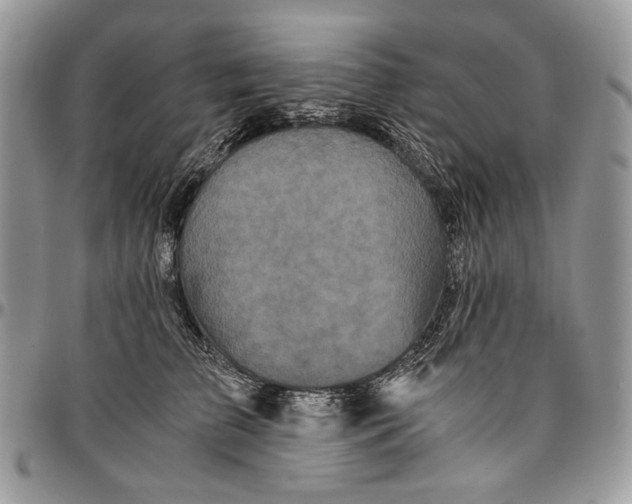 X0000096380709200802141431