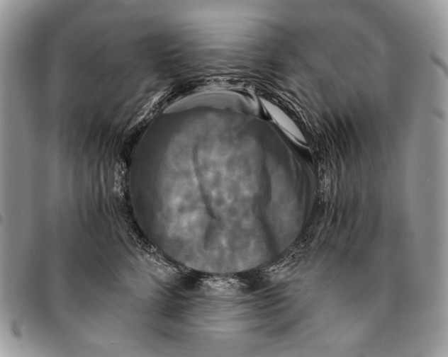 X0000096380712200802141431