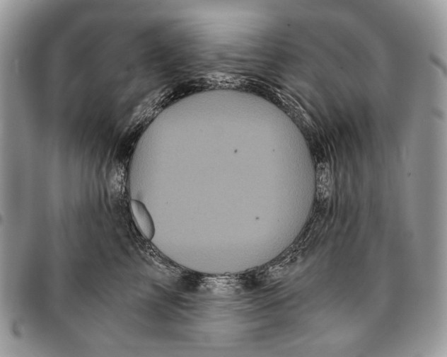 X0000096380713200802141431