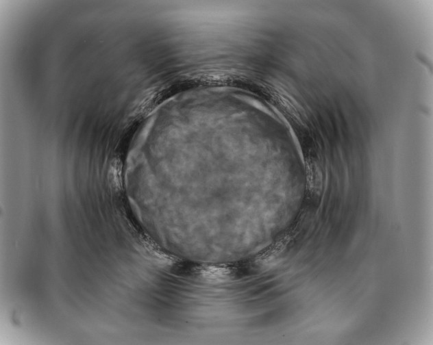 X0000096380718200802141431