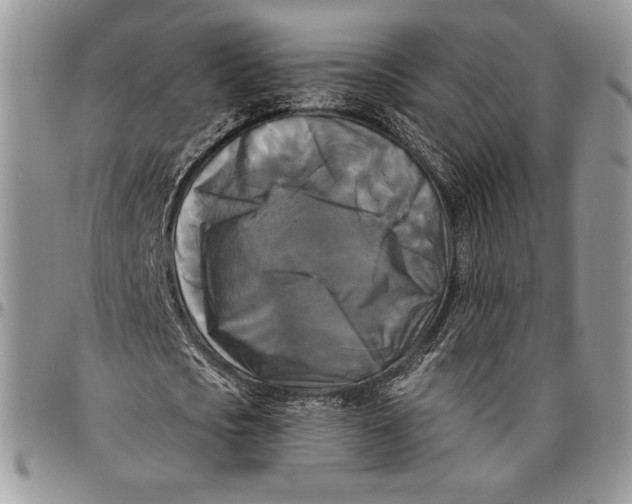 X0000096380721200802141430