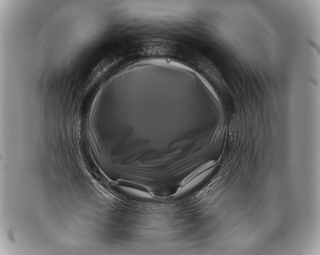 X0000096380722200802141430