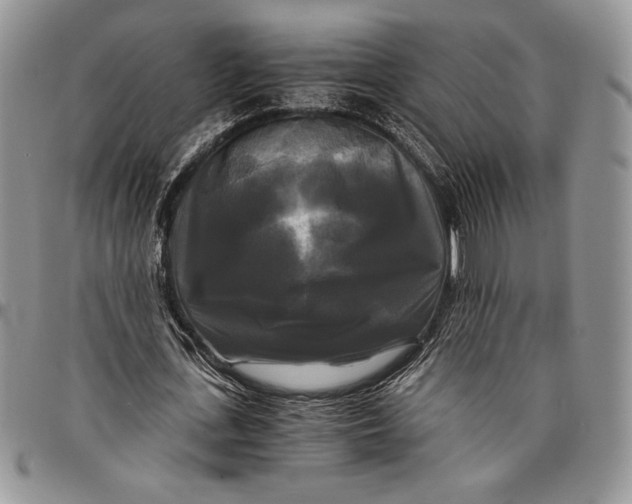 X0000096380723200802141430