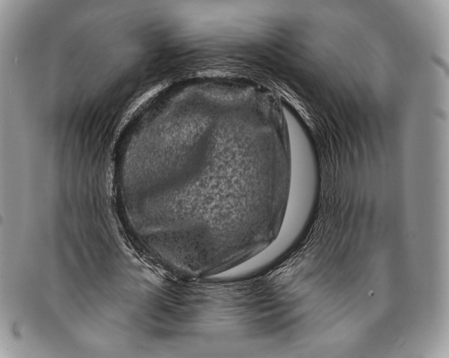 X0000096380724200802141430