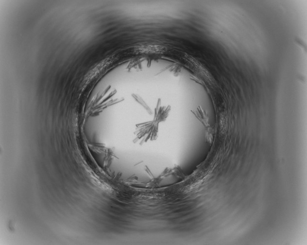 X0000096380725200802141430