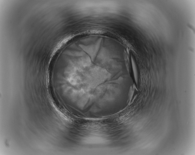 X0000096380726200802141430