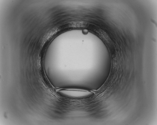 X0000096380727200802141430