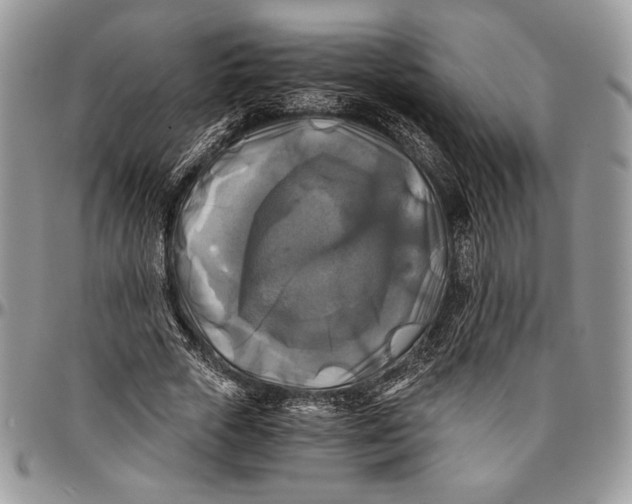 X0000096380729200802141430