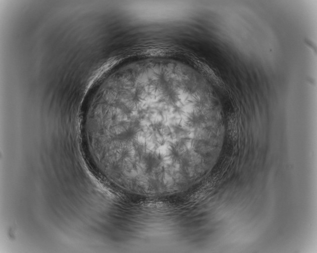 X0000096380730200802141430