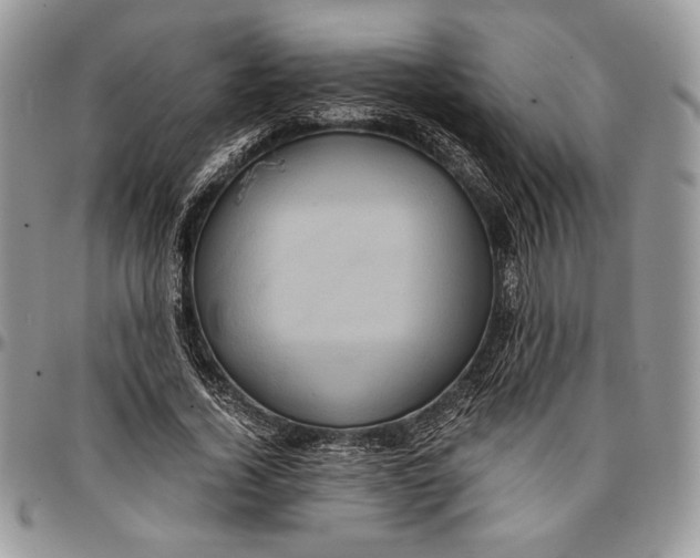 X0000096380732200802141430