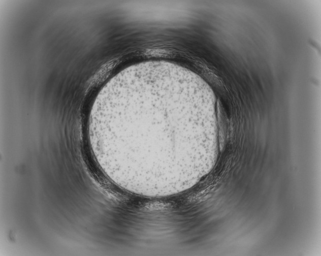 X0000096380734200802141430