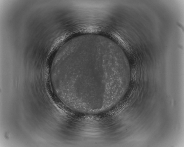 X0000096380736200802141430