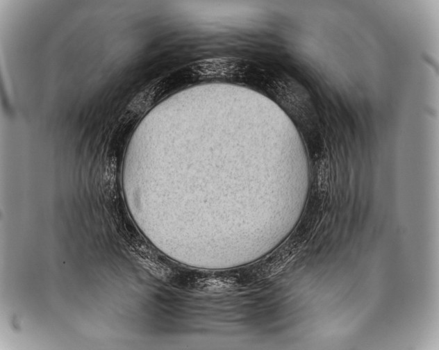 X0000096380737200802141430