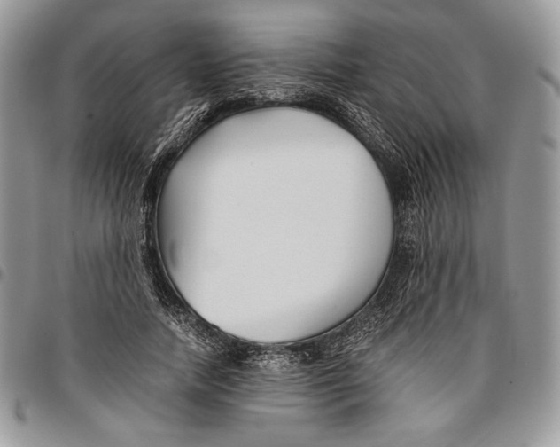 X0000096380738200802141430