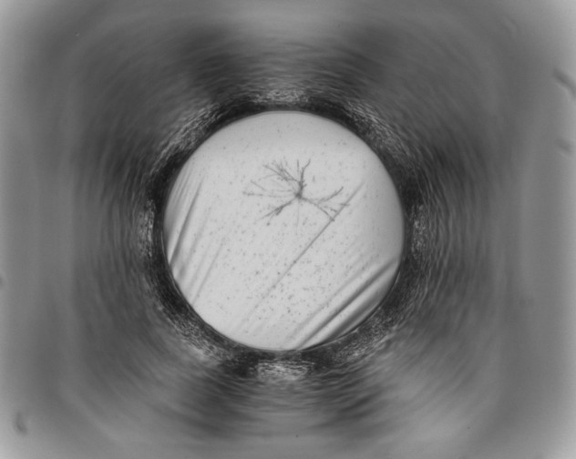 X0000096380739200802141430